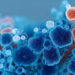 Before plants or animals, fungi conquered Earth’s surface