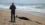 Dolphins may be getting Alzheimer’s from toxic ocean blooms
