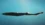 Glowing shark and hidden crab found deep off Australia