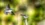 Scientists shocked as birds soaked in “forever chemicals” still thrive