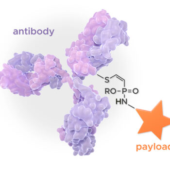 Cystein as specific target for payloads in Tubulis ADC plattform