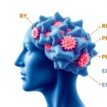 Unraveling Ageing-Parkinson’s Link: PD-AGE Advances