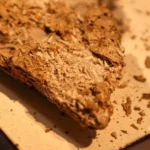 A 540-million-year-old fossil is rewriting evolution