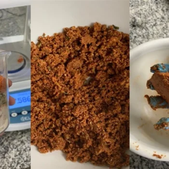 Sunflowers may be the future of "vegan meat"