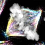 A hidden mechanism changes what we know about cell division