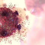 A rare cancer-fighting plant compound has finally been decoded