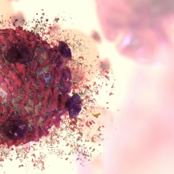 A rare cancer-fighting plant compound has finally been decoded