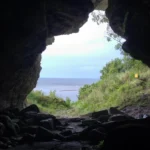 Ancient wolves could only have reached this island by boat