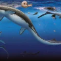 Earth’s worst extinction was followed by a shockingly fast ocean comeback