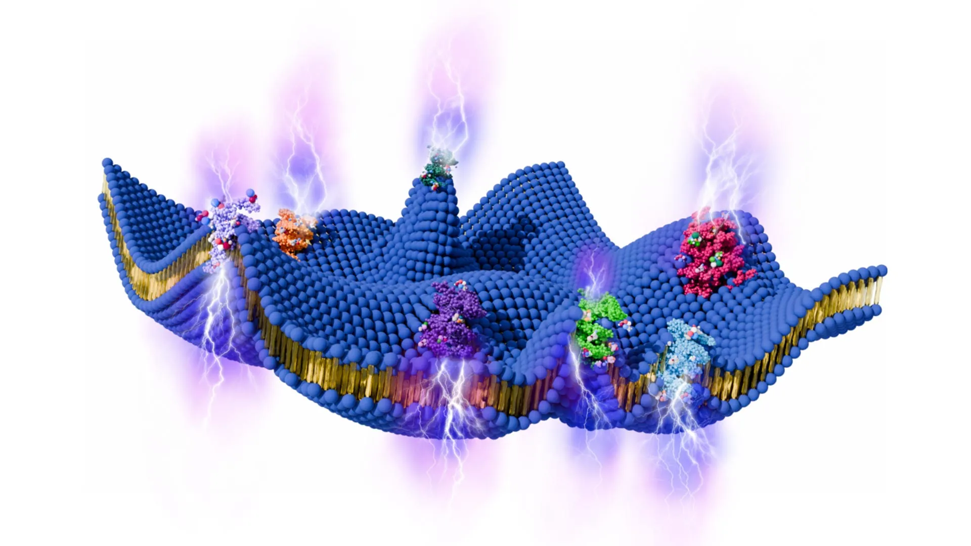 Living cells may generate electricity from motion