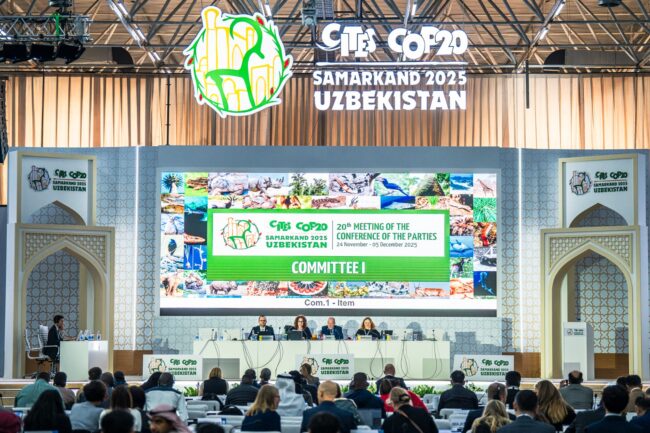 CITES COP20 conference in Samarkand.