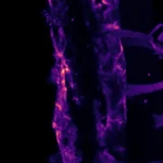 Your body feels cold in two different ways