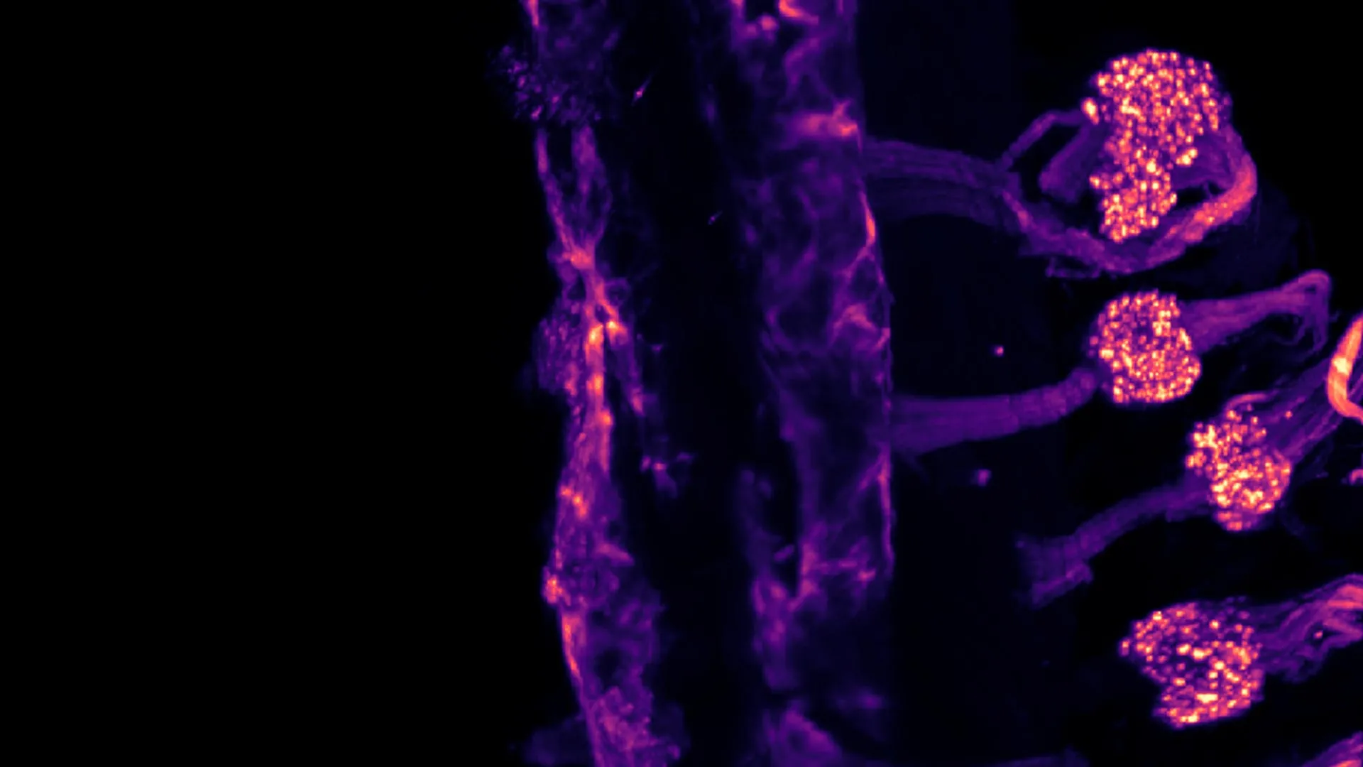 Your body feels cold in two different ways