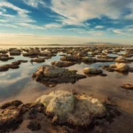 A never-before-seen creature has been found in the Great Salt Lake