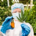 Scientists “resurrect” ancient cannabis enzymes with medical promise