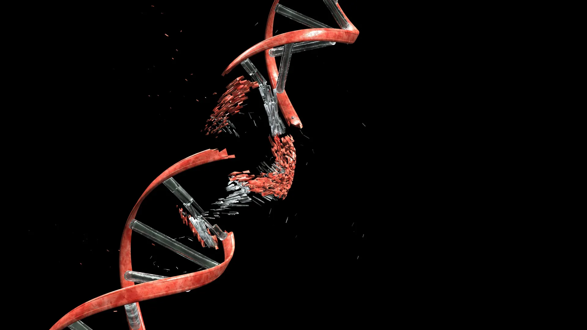 The 4x rule: Why some people’s DNA is more unstable than others