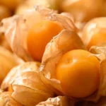 This wild fruit is getting a CRISPR makeover